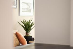 Sapore di Sori Extreme