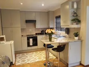 Fancy Pansy - Primrose