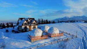 Glamping Pasieka