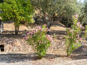 Serene Apartment in Lesvos Island with Swimming Pool Lesvos Greece