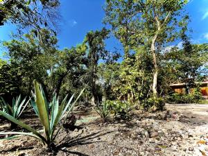 Hotel Tequila Cancun