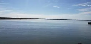 Tesla's Lake Escape - Staley