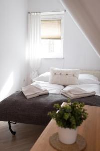 Apartamenty Pod Dachem w Centrum APARTZAKOP