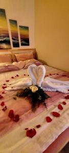 Brīvdienu māja ar Saunu