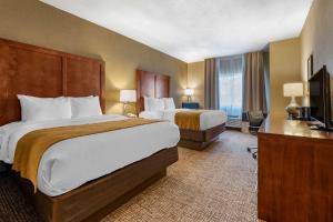 Queen Room with Two Queen Beds - Non-Smoking room in Comfort Inn Shelbyville North