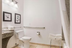Standard King Room - Non Smoking room in Comfort Inn & Suites