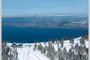 Duplex en station vue sur lac Leman - 3hvězdičkové hotely ve městě Thollon