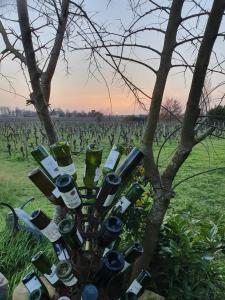 Appartements gite des vignes de Saint emilion : photos des chambres