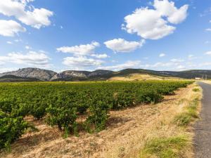 Maisons de vacances Alluring Holiday Home in Estagel with Private Pool : photos des chambres