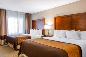Standard Room, 1 King Bed and 1 Queen Bed, Non Smoking room in Comfort Inn Santa Monica - West Los Angeles