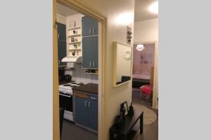 Yksiö 1 km jokirannasta föriltä 2 km torilta