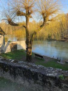 Maisons de vacances Proche du Loing : photos des chambres