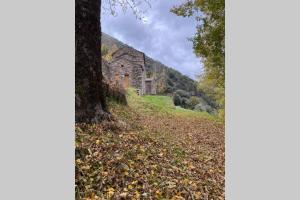 Maisons de vacances La Pellegrine, Parc national des Cevennes : photos des chambres