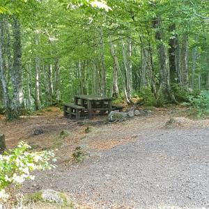 Maisons de vacances AUBRAC brameloup : photos des chambres