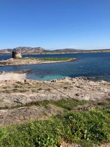 NRH Stintino Beach Garden img18
