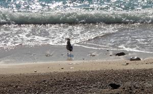 Luxury Seafront Apartment Banje