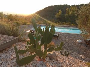 B&B / Chambres d'hotes Les agaves piscine panoramique vue exceptionnelle : photos des chambres