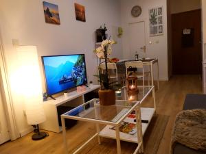 Appartements Private Independant flat - Lourdes city center - 2 Balconies : photos des chambres