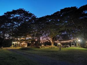 The Harmony Resort
