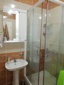 Studio Apartman Nevena