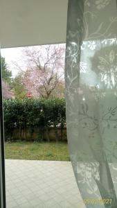 B&B IL NIDO