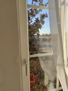 Ferienwohnung Sonnenlicht