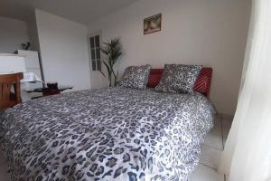 Appartements 2 pieces avec Terrasse, Piscine, parking privatif : photos des chambres