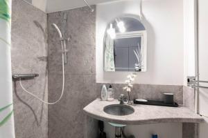 Two Beautiful Studios - Bastille- 4 pers