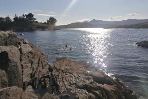 Harbourside House Glengarriff