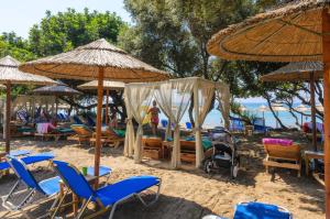 Tortuga Dafni Bay Villas on the beach Zakynthos Greece