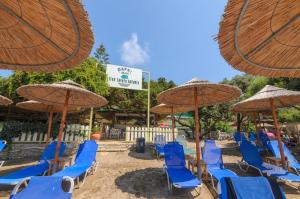 Tortuga Dafni Bay Villas on the beach Zakynthos Greece