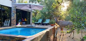 Loerie Escape - Marloth Park - Ubytování bez kategorie ve městě Marloth Park