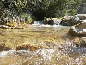 Maisons d'hotes Mas en Baronnies Provencales : photos des chambres