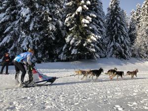 Chalets Chalet Le Doux Si, Large Self-Contained Apartment, 2km from Doucy-Combelouviere and close to Valmorel : photos des chambres