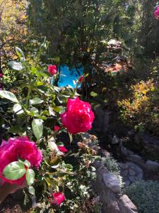 Casa de Montaña inmersa en Bosque Nativo