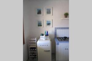 Chia Delizioso nido verde nel blu img10