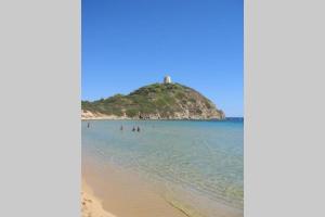 Chia Delizioso nido verde nel blu img24