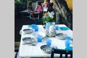 Chia Delizioso nido verde nel blu