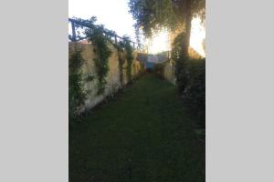 Chia Delizioso nido verde nel blu img17