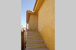 Chia Delizioso nido verde nel blu img36