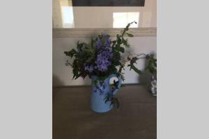 Chia Delizioso nido verde nel blu img38