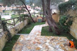 Chia Delizioso nido verde nel blu img45