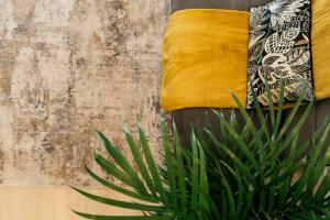 Glamour Dristor brand new Studio