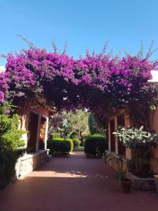 Sa Jaga Brujada Residence - Simar Vacanze img23