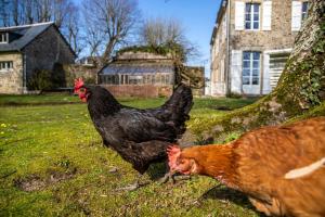 Maisons de vacances Le Prieure Saint-Malo de Dinan : photos des chambres