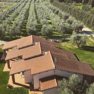 Agriturismo Il Puntoncino