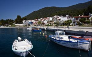 Oasis Deluxe Apartments Skopelos Greece