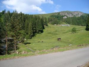 Campings Camping du Parc de La Fecht : photos des chambres