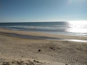 Maisons d'hotes zenzela surf house : photos des chambres