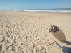 Maisons d'hotes zenzela surf house : photos des chambres